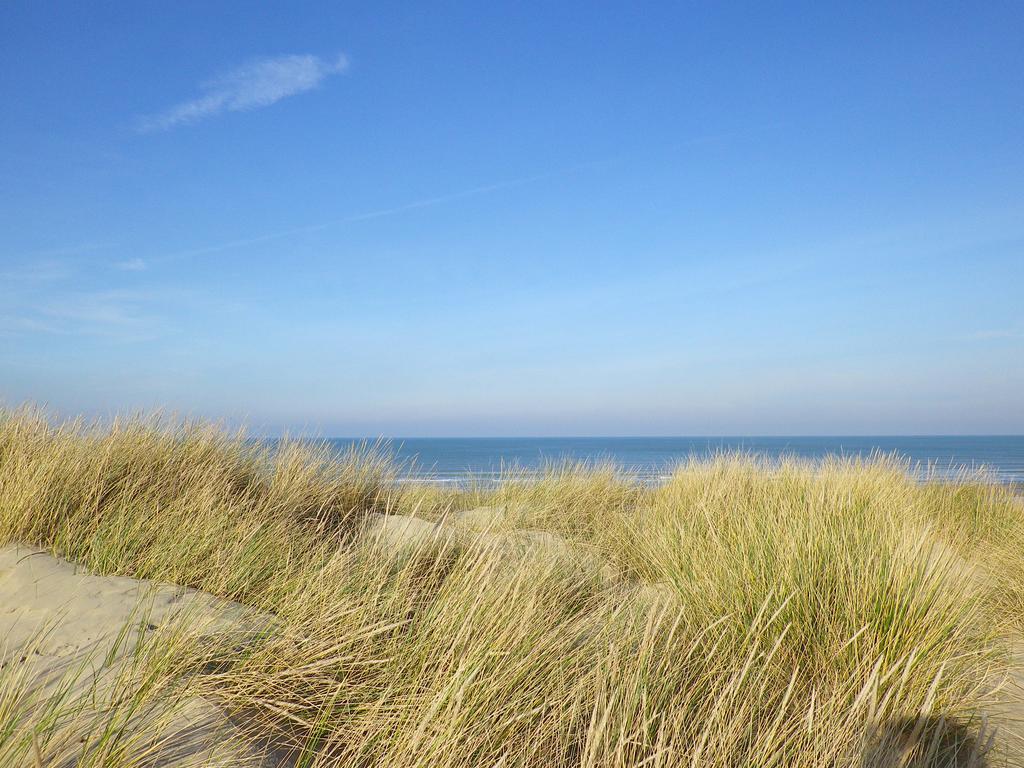 Evancy Etoile Des Dunes Bray-Dunes Zewnętrze zdjęcie